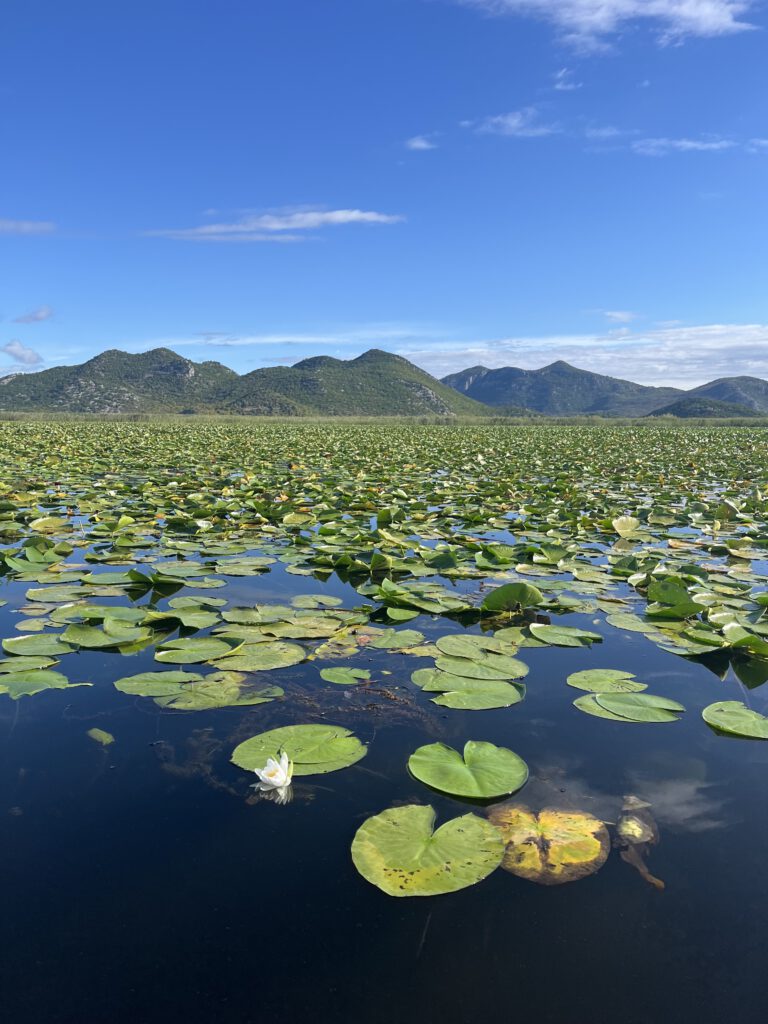 Unsere Empfehlungen für eine Tour durch Montenegro 7 IMG 3160 Wohnmobil-Route Montenegro: 14 Tage mit allen Stellplätzen, Kosten, Maut, Hund und GPX-Route