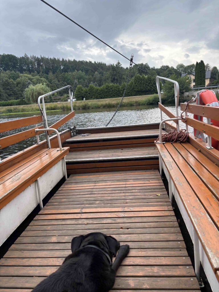 IMG 3844 Unser Camping-Wochenende an der Zschopau: Ruhe, Natur und kleine Entdeckungen